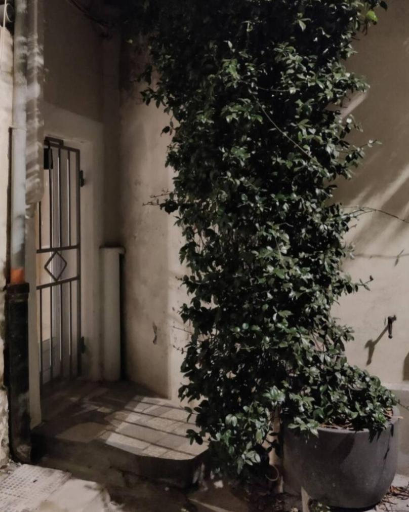 Beau Climatise/wifi, Proche Arenes Et Gare Apartment *