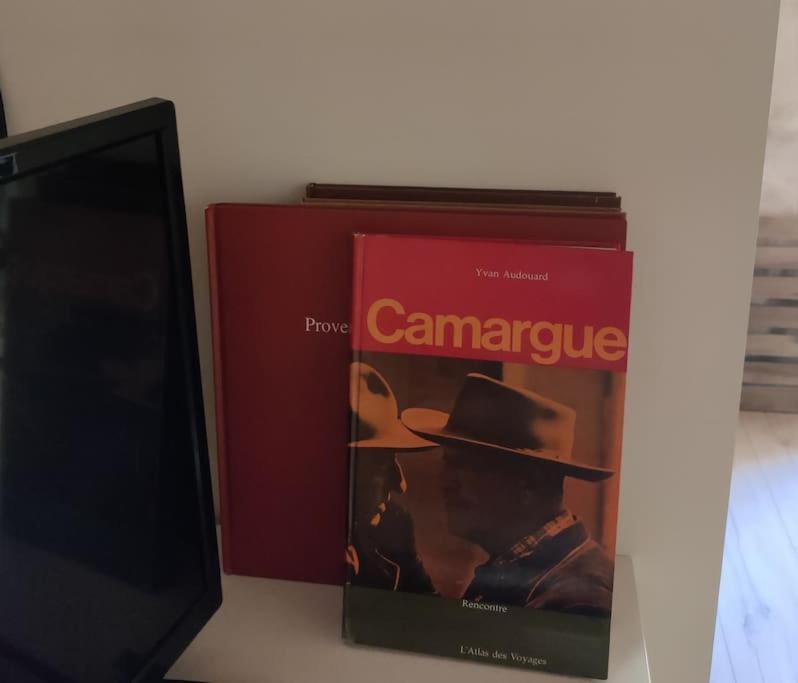 Beau Climatise/wifi, Proche Arenes Et Gare Apartment Arles